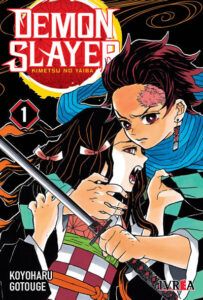 Kimetsu no Yaiba 01 (Demon Slayer)