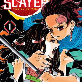 Kimetsu no Yaiba 01 (Demon Slayer)