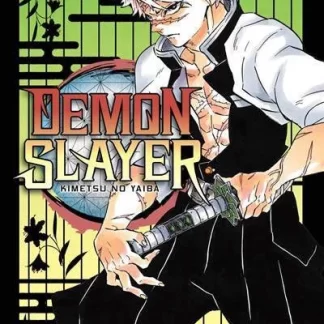 Kimetsu no Yaiba 17 (Demon Slayer)