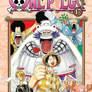 One Piece - 17